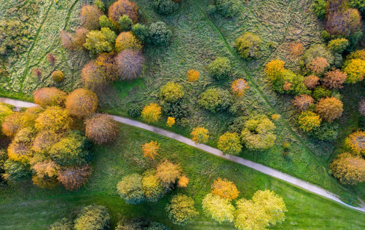 Intrum Landscapes 048 RF