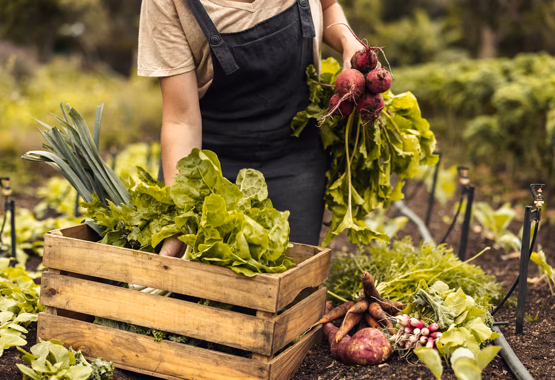Zero waste – nowa filozofia życia?