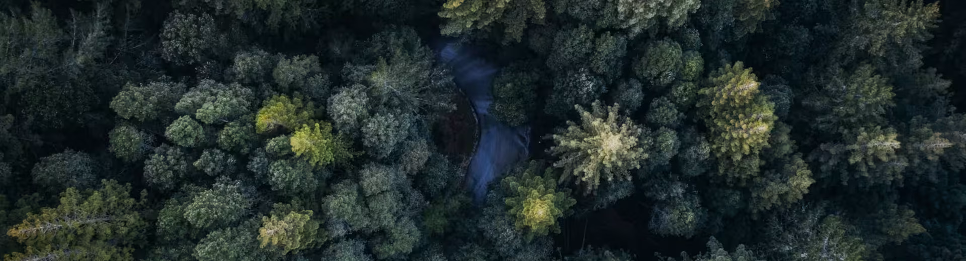 European Consument Payment Report 2023