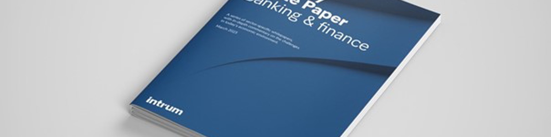 Industry White Papers 2023 - Bankowość i Finanse
