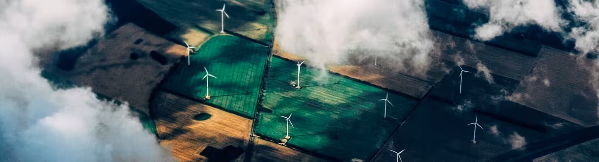 Usługi specjalistyczne na całym świecie