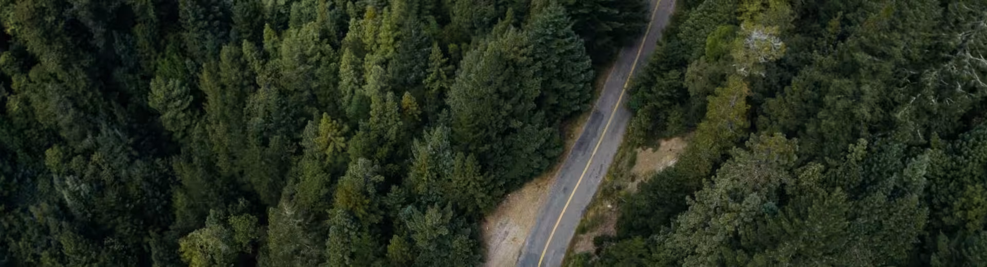 Lokalne operacje, globalna obecność