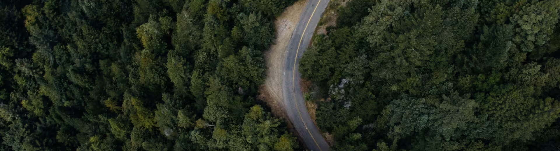 6 wskazówek, dzięki którym zrobisz wiosenne porządki w swoich finansach