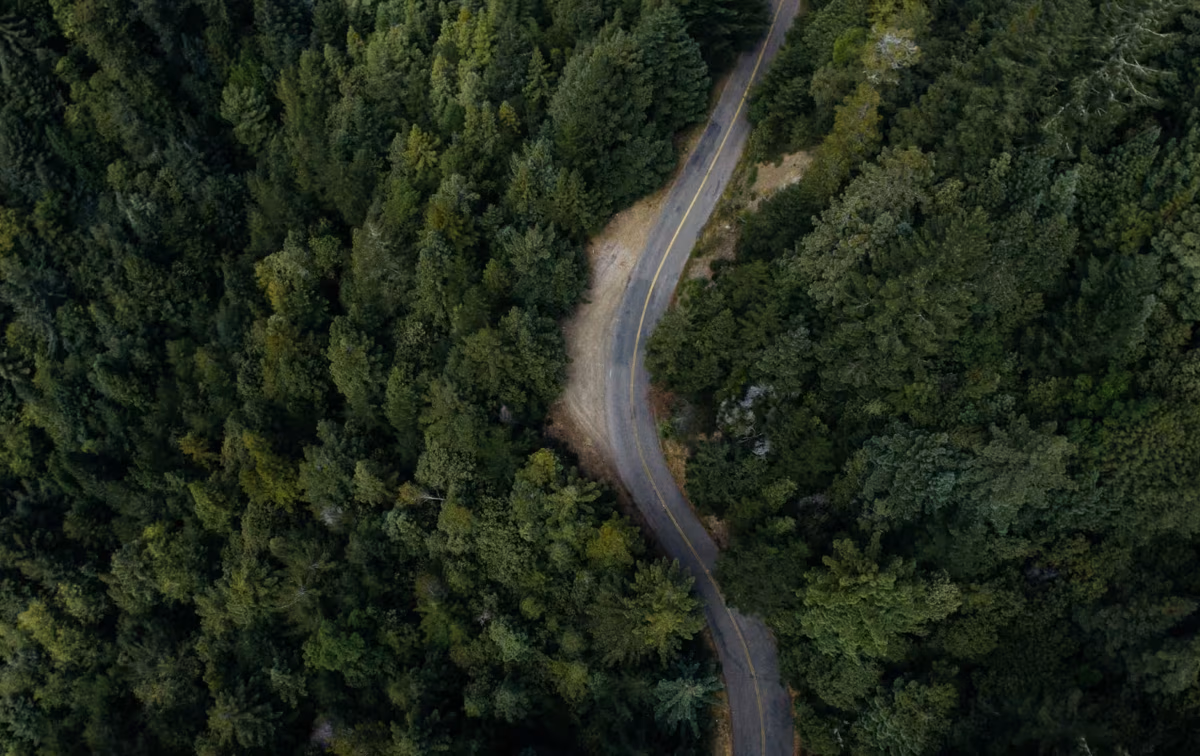 Annual and Sustainability Report 2022